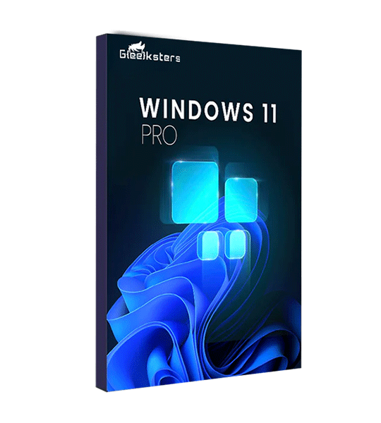 Windows 11 Pro